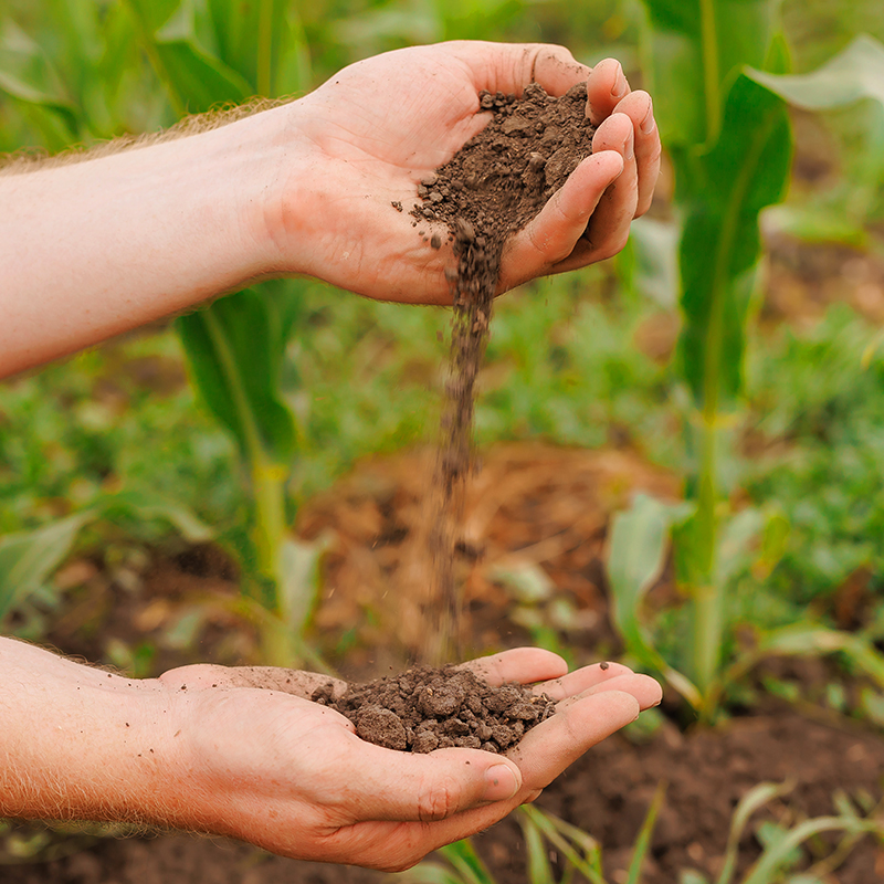 الأسمدة المركبة